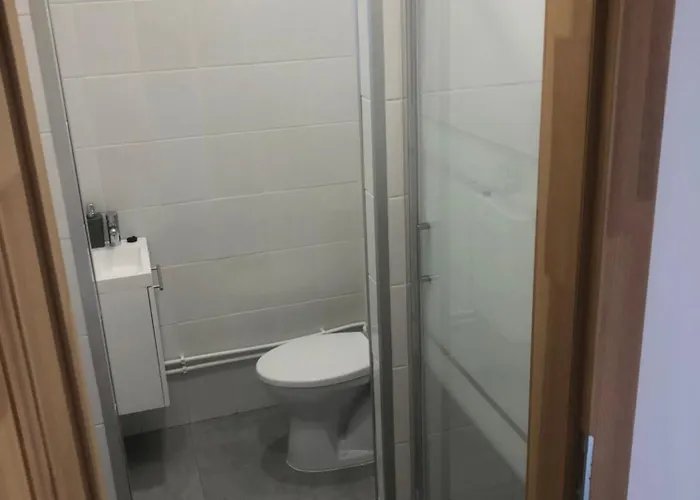 Level 1 3 - Koezoes Fuerdoszoba Shared Bathroom * Segedin